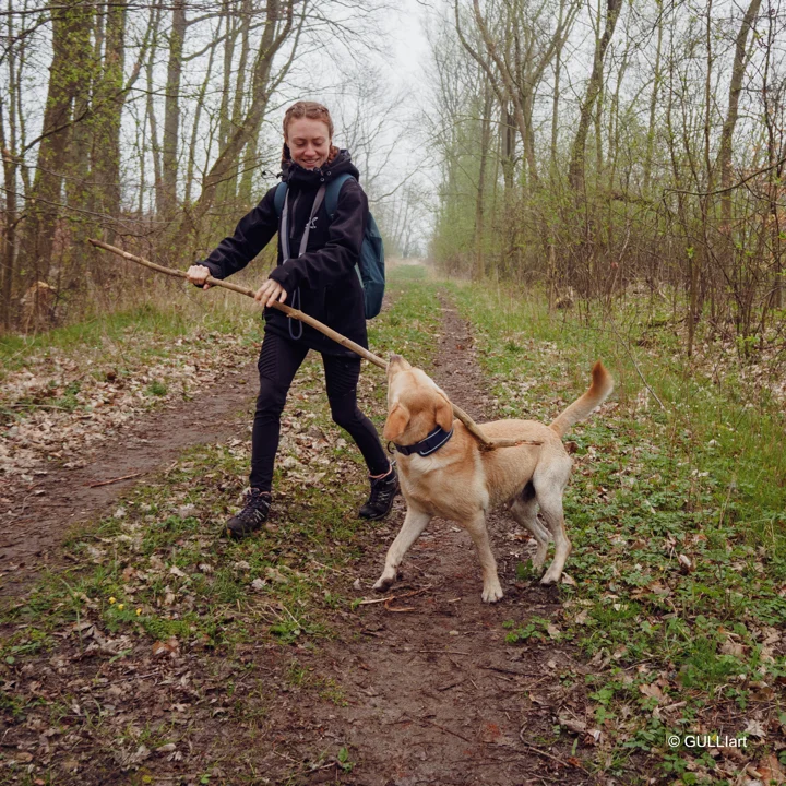 Zusammen im Wald