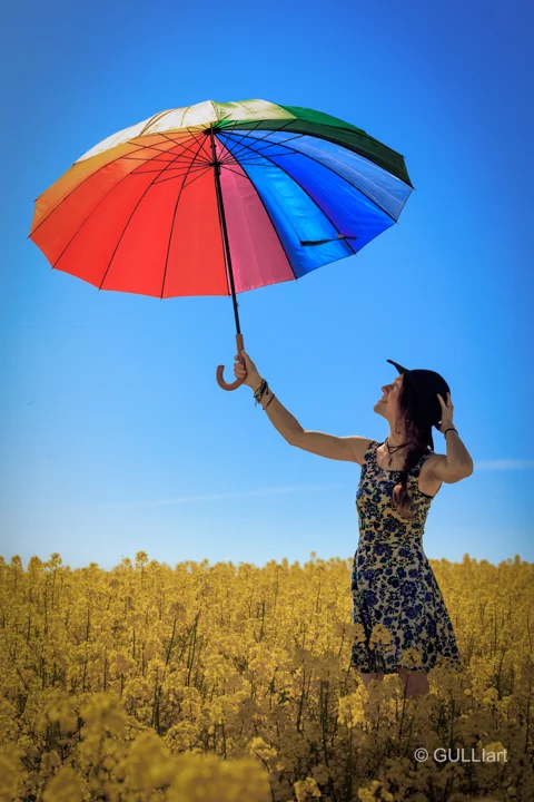 Regenbogen im Feld
