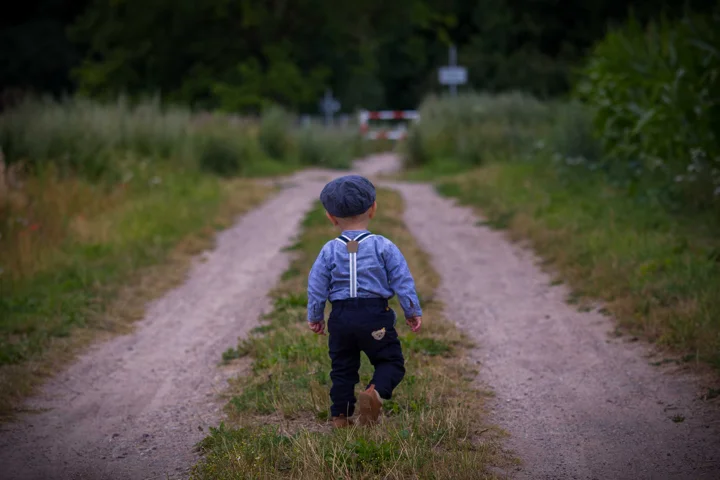 Der Weg voraus